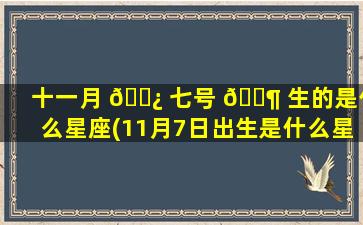十一月 🌿 七号 🐶 生的是什么星座(11月7日出生是什么星座)